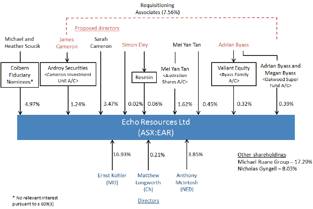 Diagram showing the shareholdings of parties