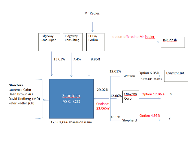 Diagram showing the various relationships between the parties